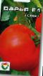 Tomatoes  Darya  F1  grade Photo
