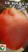 Los tomates variedades De-barao gigant Foto y características