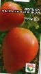 des tomates  Dolka dalnevostochnaya l'espèce Photo