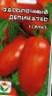 tomaatit lajit Zasolochnyjj delikates kuva ja ominaisuudet