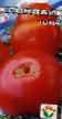 Tomaten  Klondajjk klasse Foto