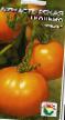 Los tomates  Monastyrskaya trapeza variedad Foto