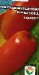 Tomatoes  Percevidnyjj krepysh grade Photo