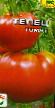 Tomatoes varieties Telec Photo and characteristics