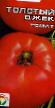 Tomater sorter Tolstyjj Dzhek Fil och egenskaper