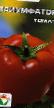 Ντομάτες ποικιλίες Triumfator φωτογραφία και χαρακτηριστικά