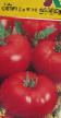 Tomatoes varieties Florida f1 91 Photo and characteristics