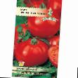 des tomates  Prekrasnaya ledi F1 l'espèce Photo