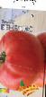 tomaatit lajit Benefis F1 kuva ja ominaisuudet