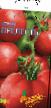 tomaatit lajit Prelest F1 kuva ja ominaisuudet