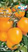 Tomater sorter De-Barao zheltyjj Fil och egenskaper