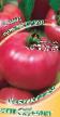 Tomatoes varieties Rozovyjj glamur Photo and characteristics