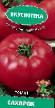 Los tomates variedades Sakharok Foto y características