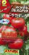 Los tomates  Zhorik-obzhorik variedad Foto