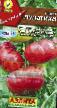 Los tomates variedades Puzatiki Foto y características