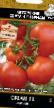 Los tomates  Okean F1 variedad Foto