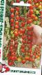 tomaatit lajit Cherri krasa-dlinnaya kosa kuva ja ominaisuudet