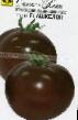 Los tomates variedades Ashkelon F1 Foto y características