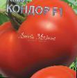 Los tomates variedades Kondor F1 Foto y características