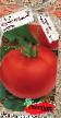 Tomater sorter Krasnoshhekijj knyaz Fil och egenskaper