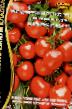 Tomater sorter Marina Roshha F1 Fil och egenskaper