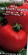 I pomodori le sorte Yabloki Sibiri foto e caratteristiche