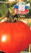 tomaatit lajit Kalibr F1 kuva ja ominaisuudet