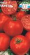 des tomates les espèces Marsel Photo et les caractéristiques