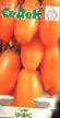 Ντομάτες ποικιλίες Midas φωτογραφία και χαρακτηριστικά
