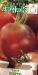 Los tomates  Oziris variedad Foto