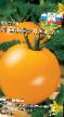 Tomater sorter Sancho Pansa F1 Fil och egenskaper