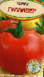 Tomaten Sorten Gulliver Foto und Merkmale
