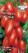 tomaatit lajit Sosulka krasnaya kuva ja ominaisuudet