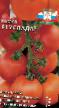 des tomates  Uslada F1 l'espèce Photo