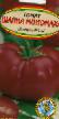 tomaatit lajit Shapka Monomakha (Sibirskijj sad) kuva ja ominaisuudet