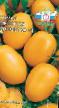Tomatoes varieties Medovaya konfetka F1 Photo and characteristics