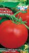 Los tomates  Rajjskoe yablochko variedad Foto