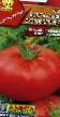 Tomaten Sorten Volgogradskijj skorospelyjj 323 Foto und Merkmale