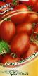 Los tomates  Baskak variedad Foto