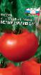 Los tomates variedades Belyjj naliv Foto y características