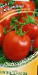 des tomates les espèces Kineshma F1 Photo et les caractéristiques