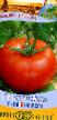 des tomates les espèces Kurshevel Photo et les caractéristiques