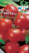Tomatoes varieties Bistro F1 Photo and characteristics