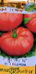 Los tomates  Normandiya variedad Foto