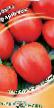 des tomates  Forshmak l'espèce Photo