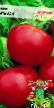 des tomates  Ataman l'espèce Photo