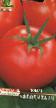 Tomatoes varieties Afrodita F1 Photo and characteristics