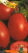 Tomaten Sorten Ispan F1 Foto und Merkmale