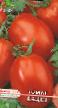 Los tomates  Kadet variedad Foto