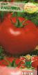 Los tomates  Maksimka variedad Foto